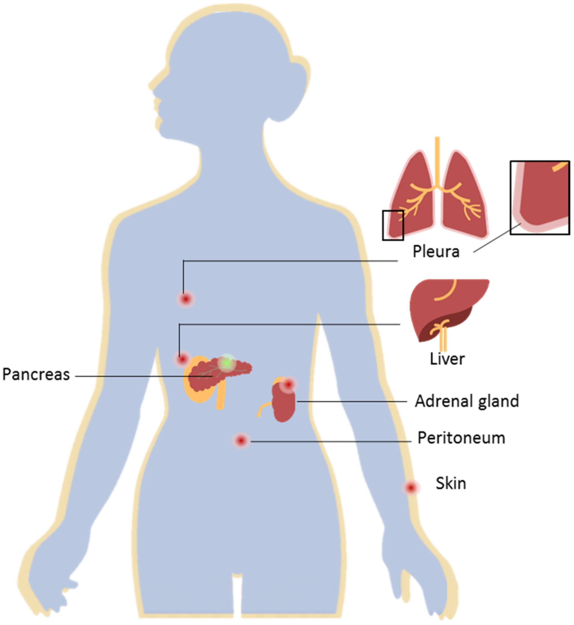 Molecules 27 04811 g001