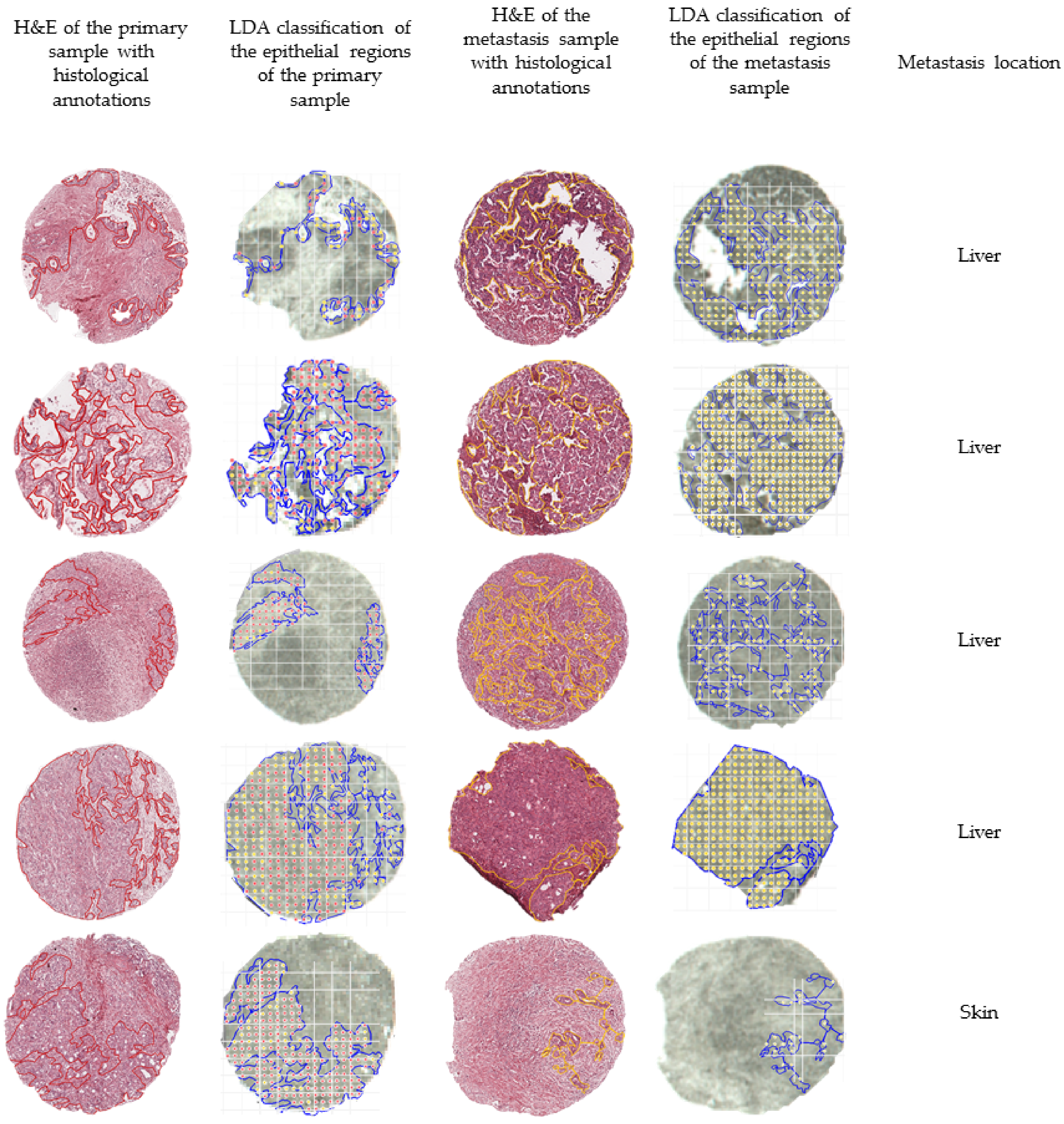 Molecules 27 04811 g003