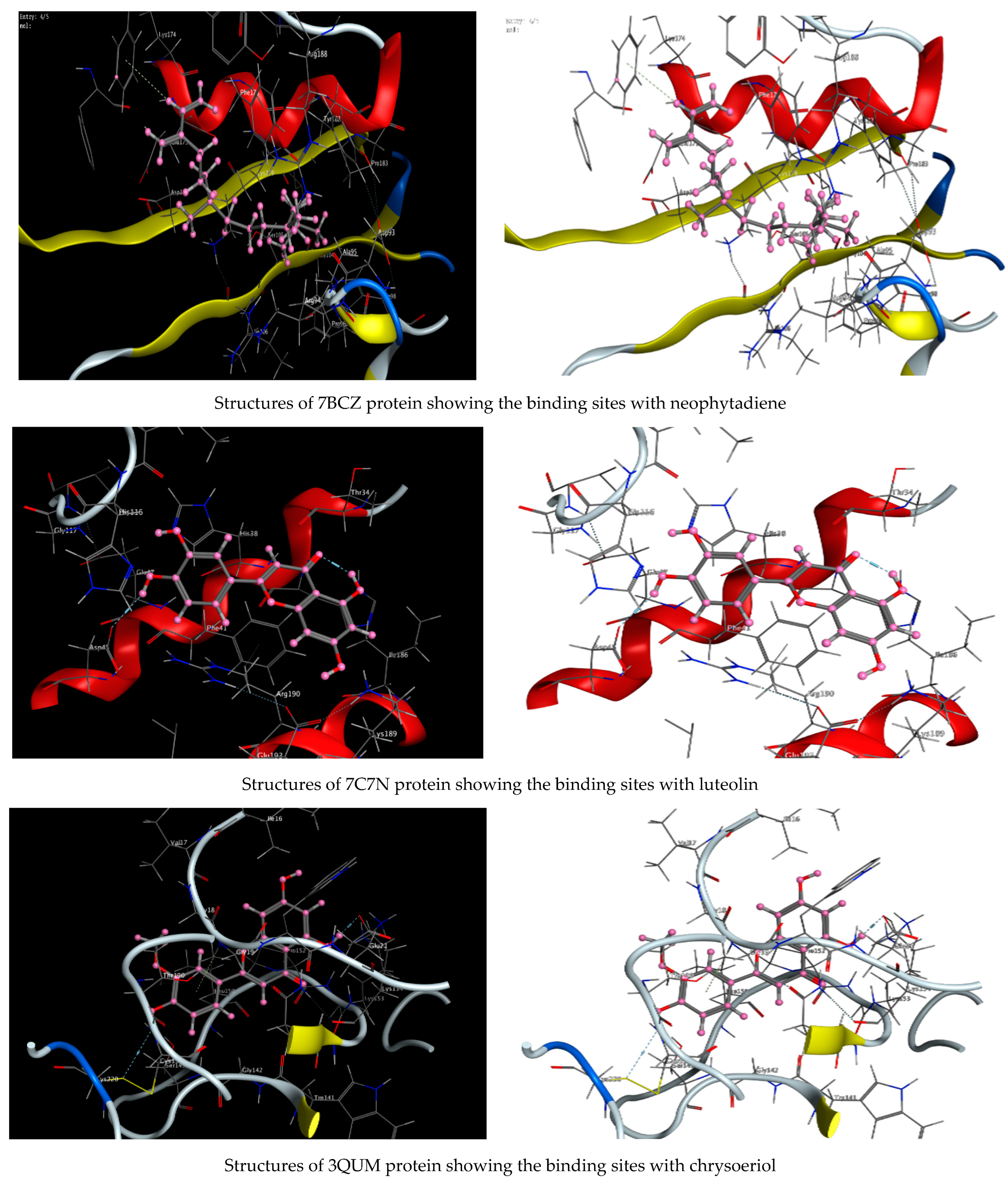 Molecules 27 04824 g011a