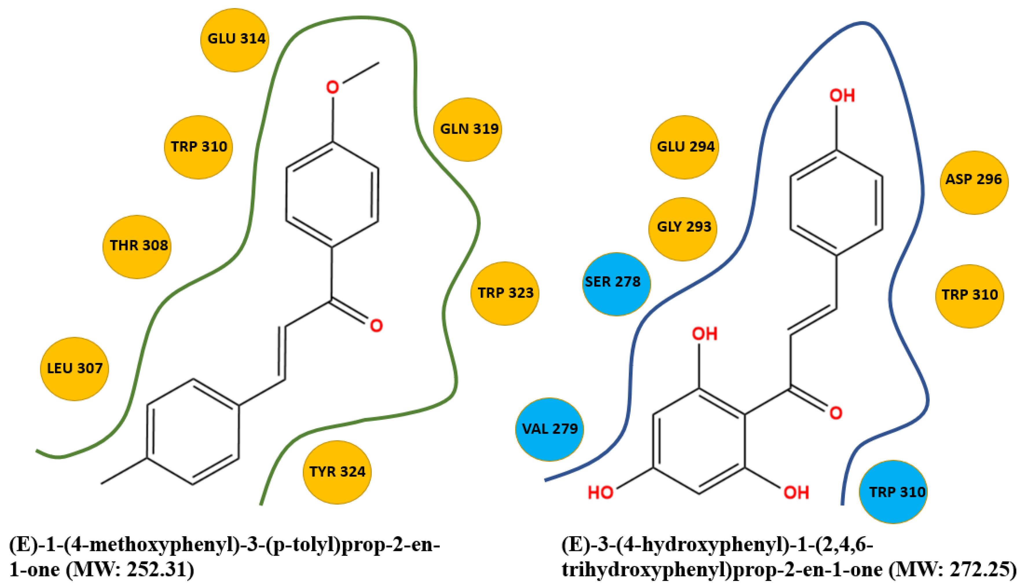 Molecules 27 04825 g004