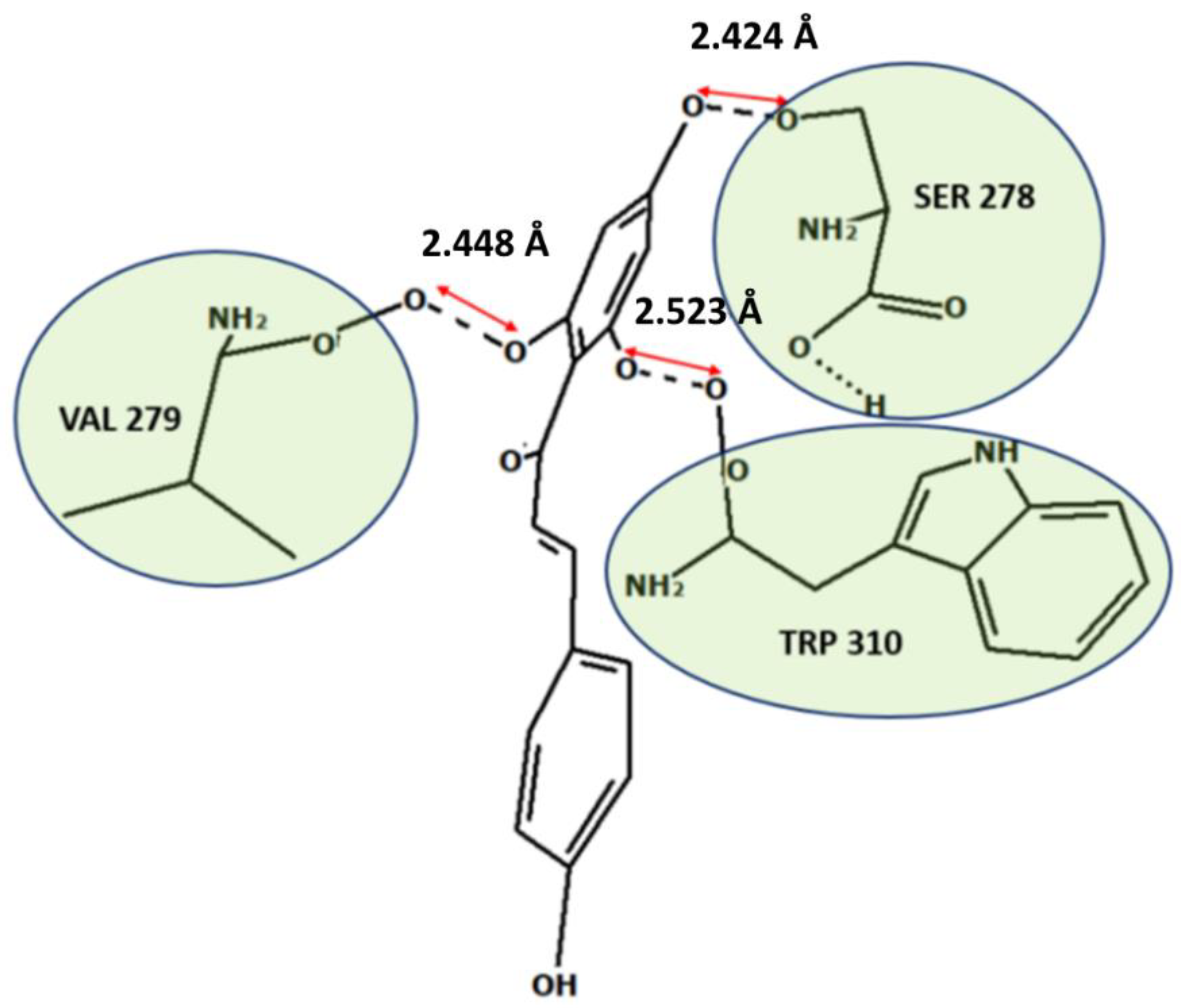 Molecules 27 04825 g007