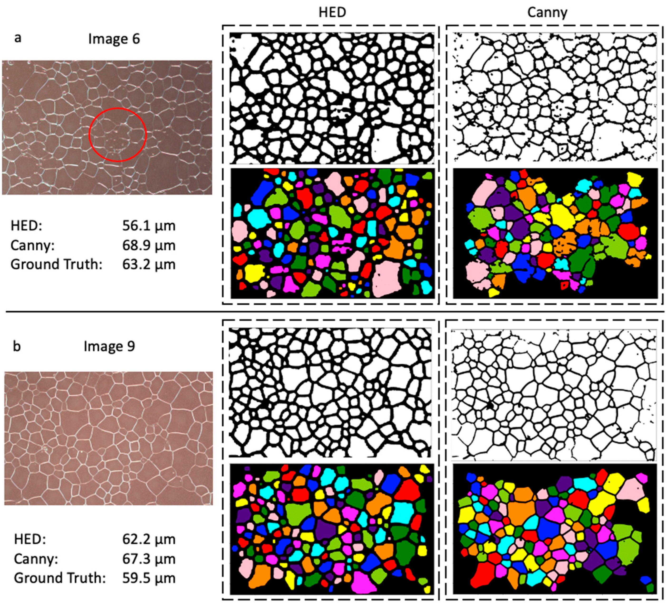 Molecules 27 04826 g006
