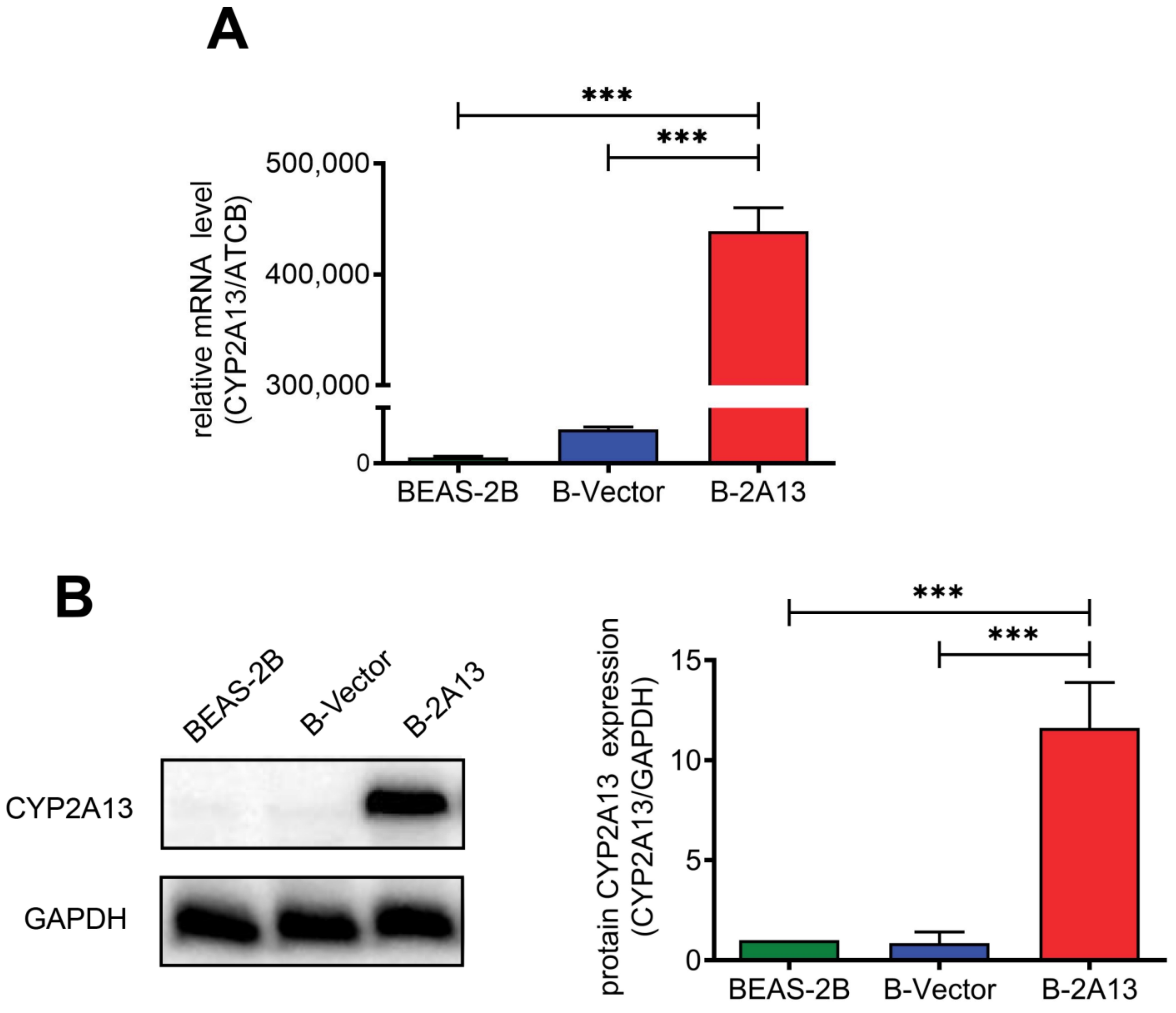 Molecules 27 04851 g001