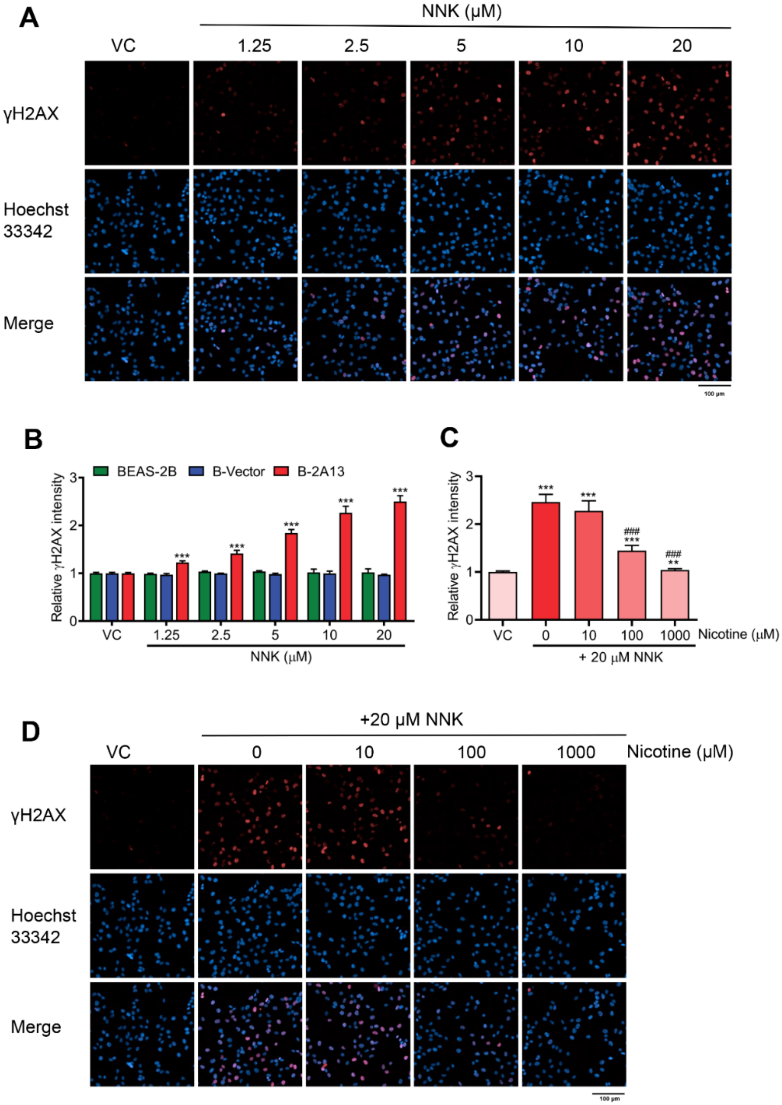 Molecules 27 04851 g003
