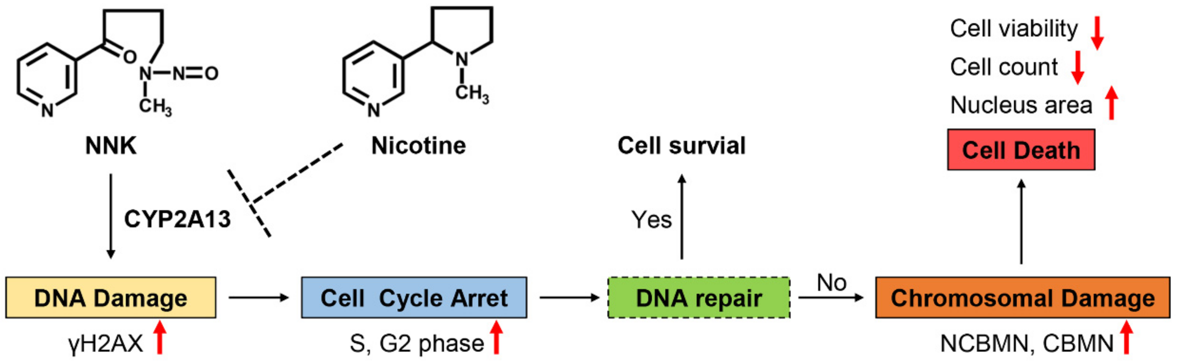 Molecules 27 04851 g006