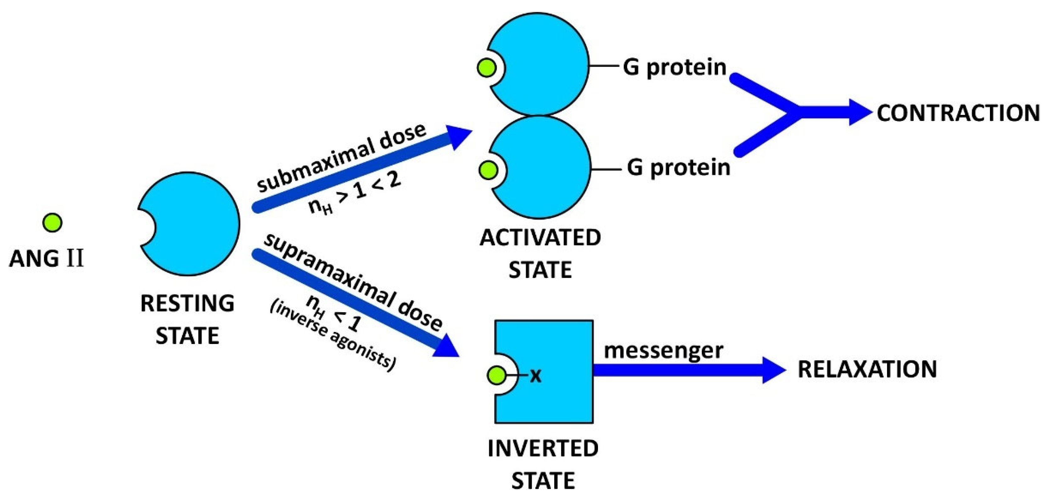Molecules 27 04854 g001