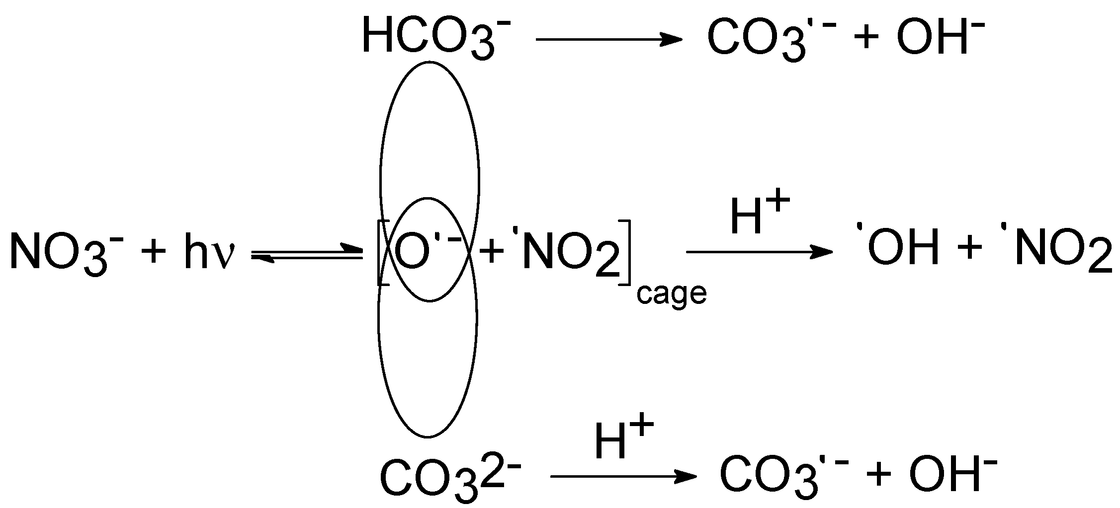 Molecules 27 04855 g002 Molecules 27 04855 g002