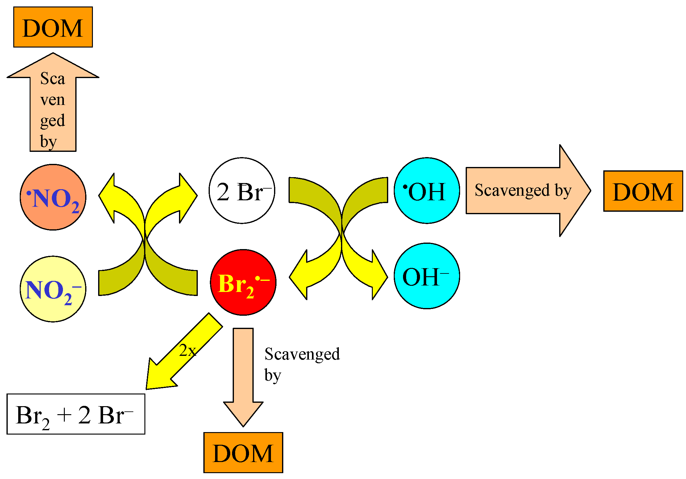 Molecules 27 04855 g008 Molecules 27 04855 g008