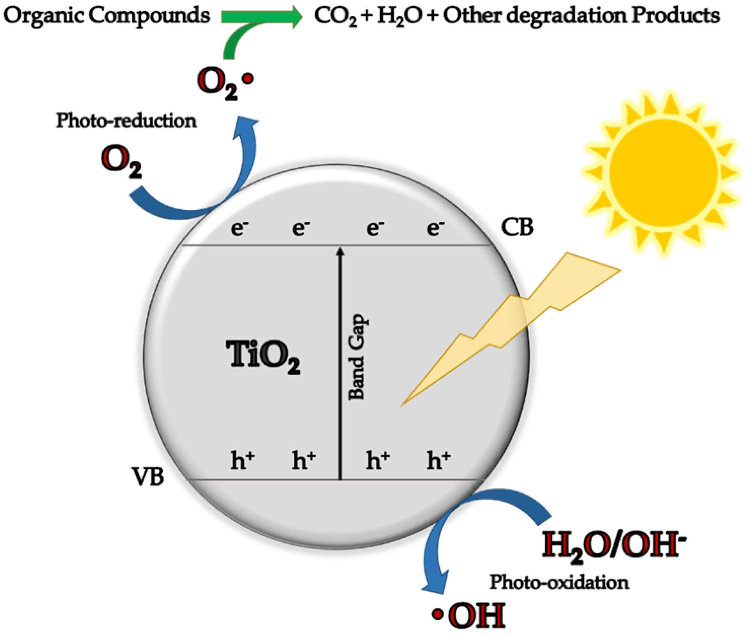 Molecules 27 04856 g005