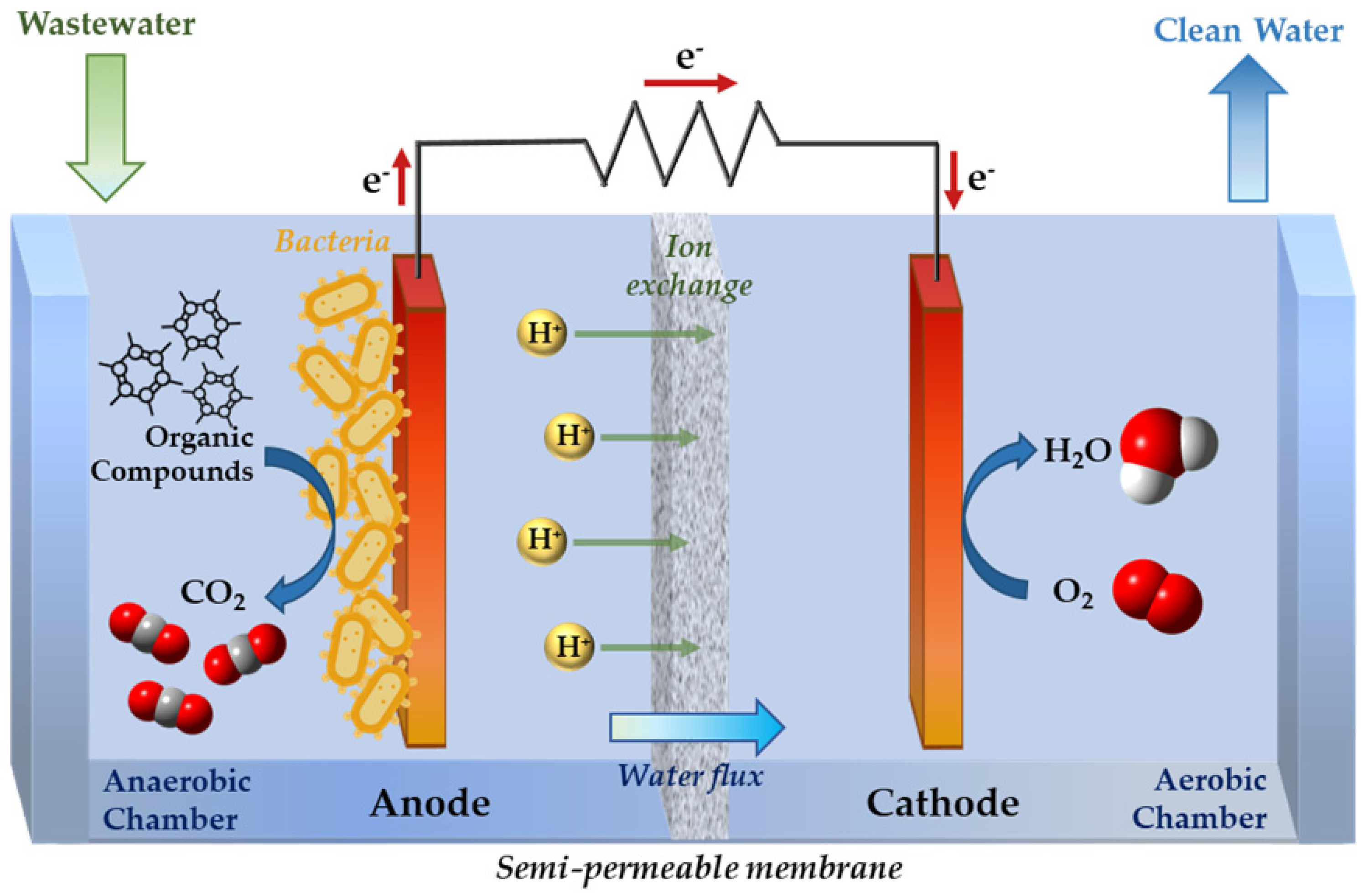 Molecules 27 04856 g006