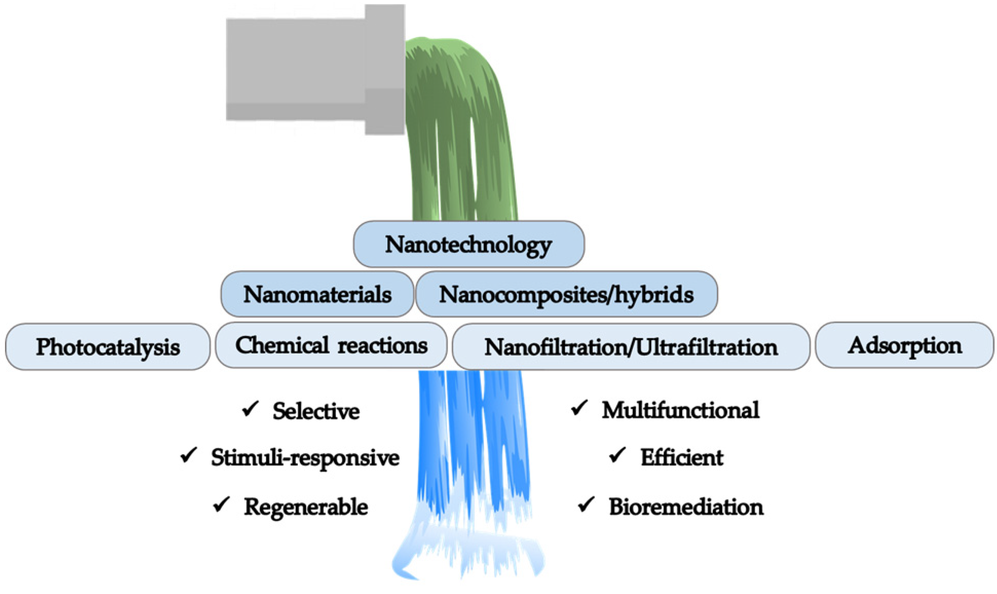 Molecules 27 04856 g008