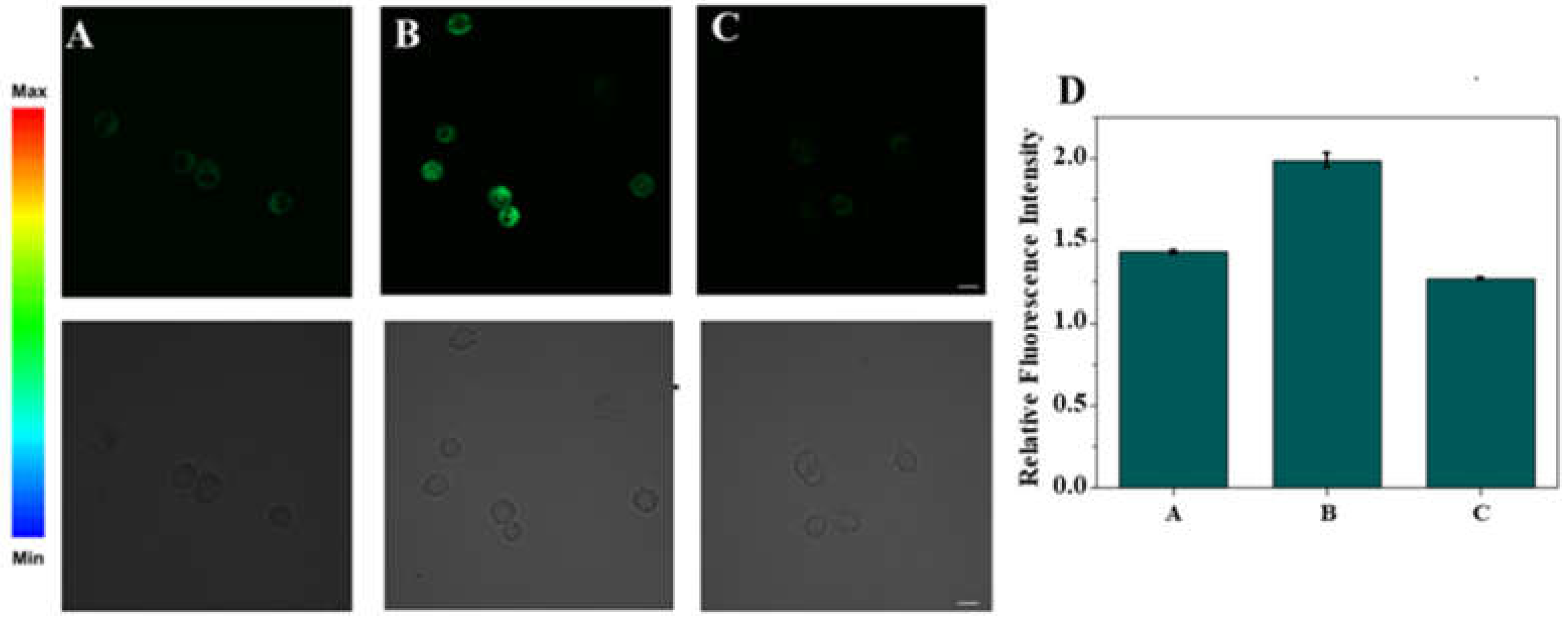 Molecules 27 04858 g004