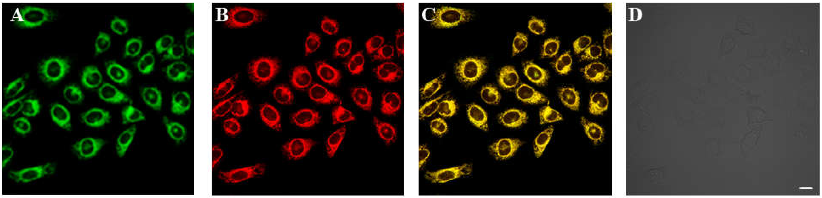 Molecules 27 04858 g005