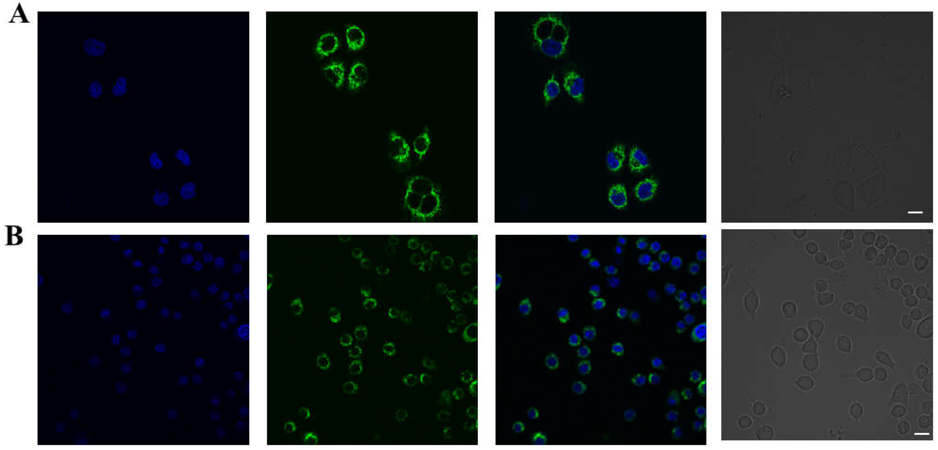Molecules 27 04858 g006