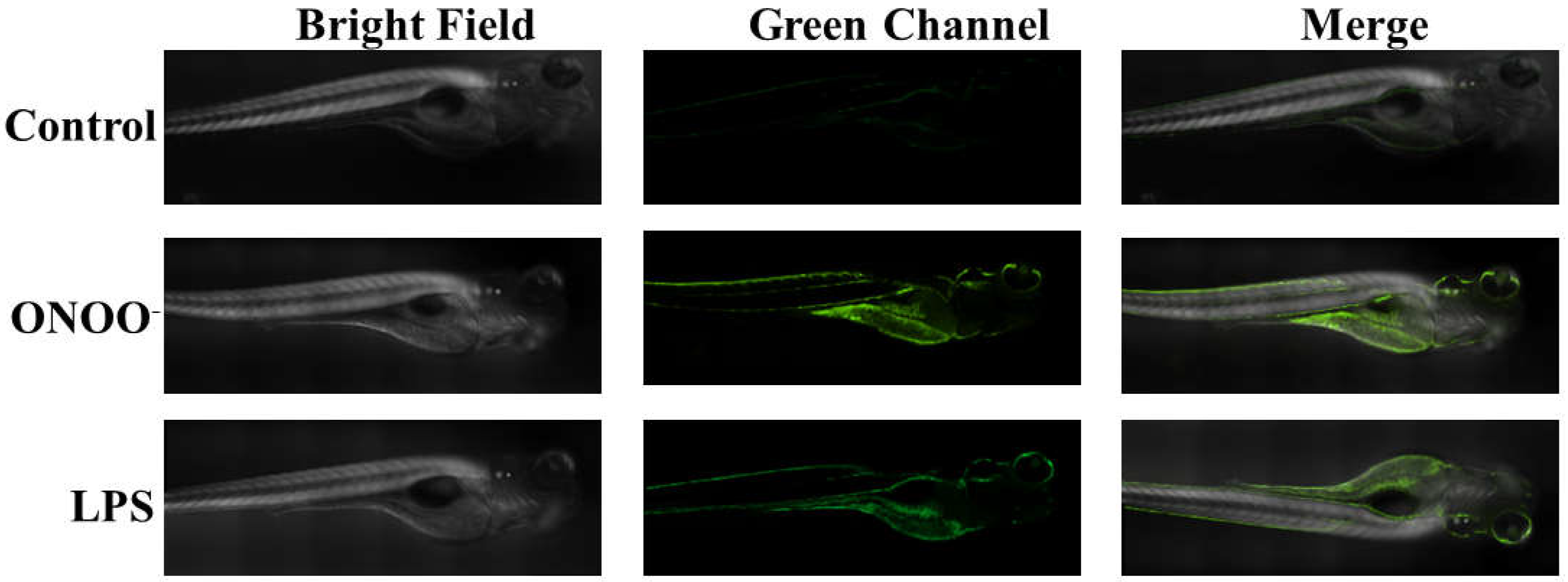 Molecules 27 04858 g007