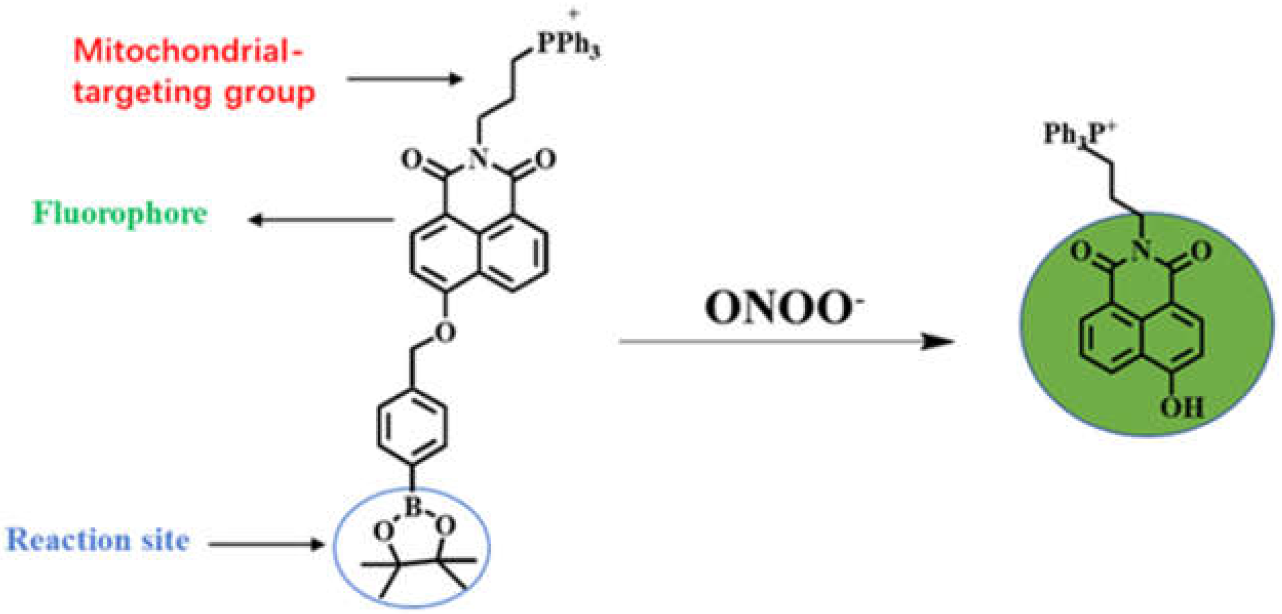 Molecules 27 04858 sch001
