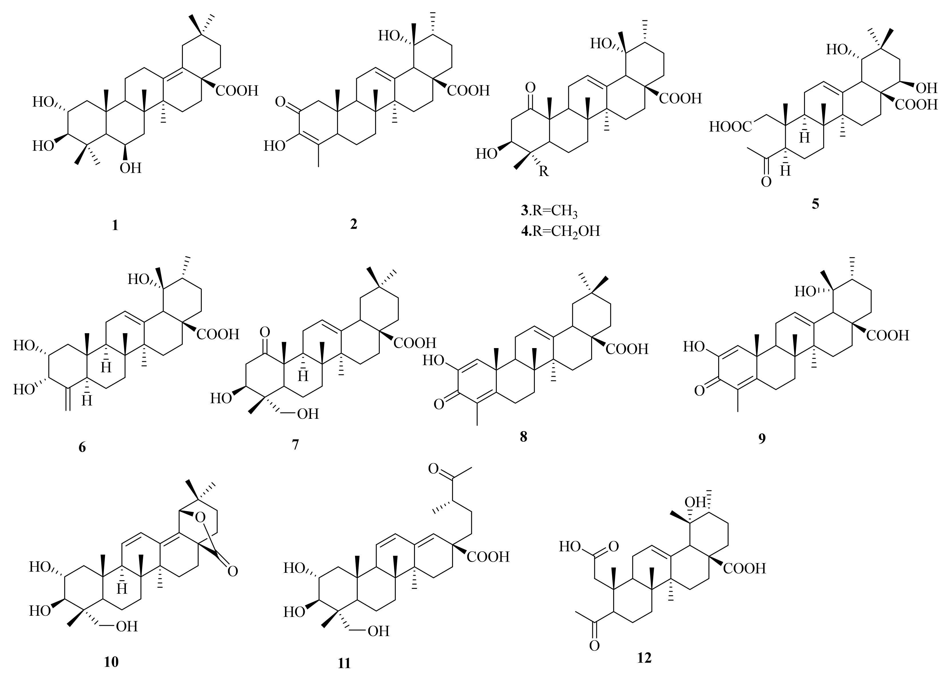 Molecules 27 04870 g001