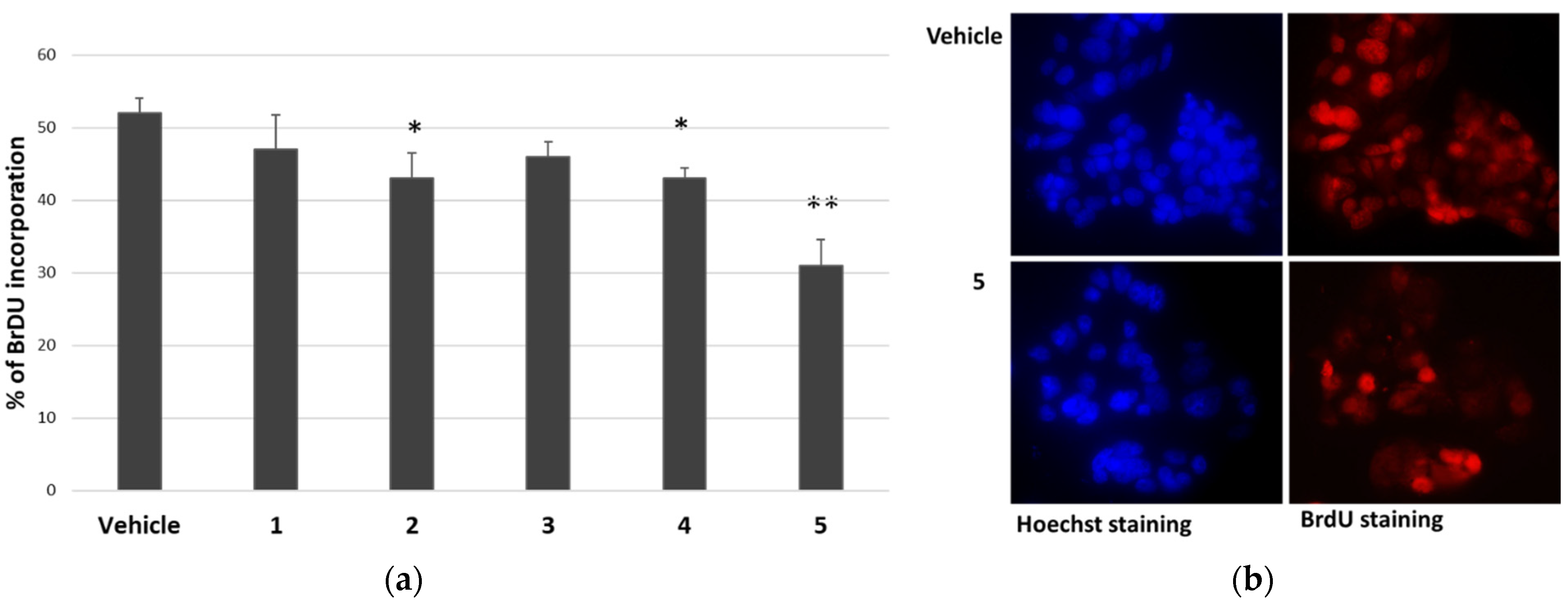Molecules 27 04874 g003