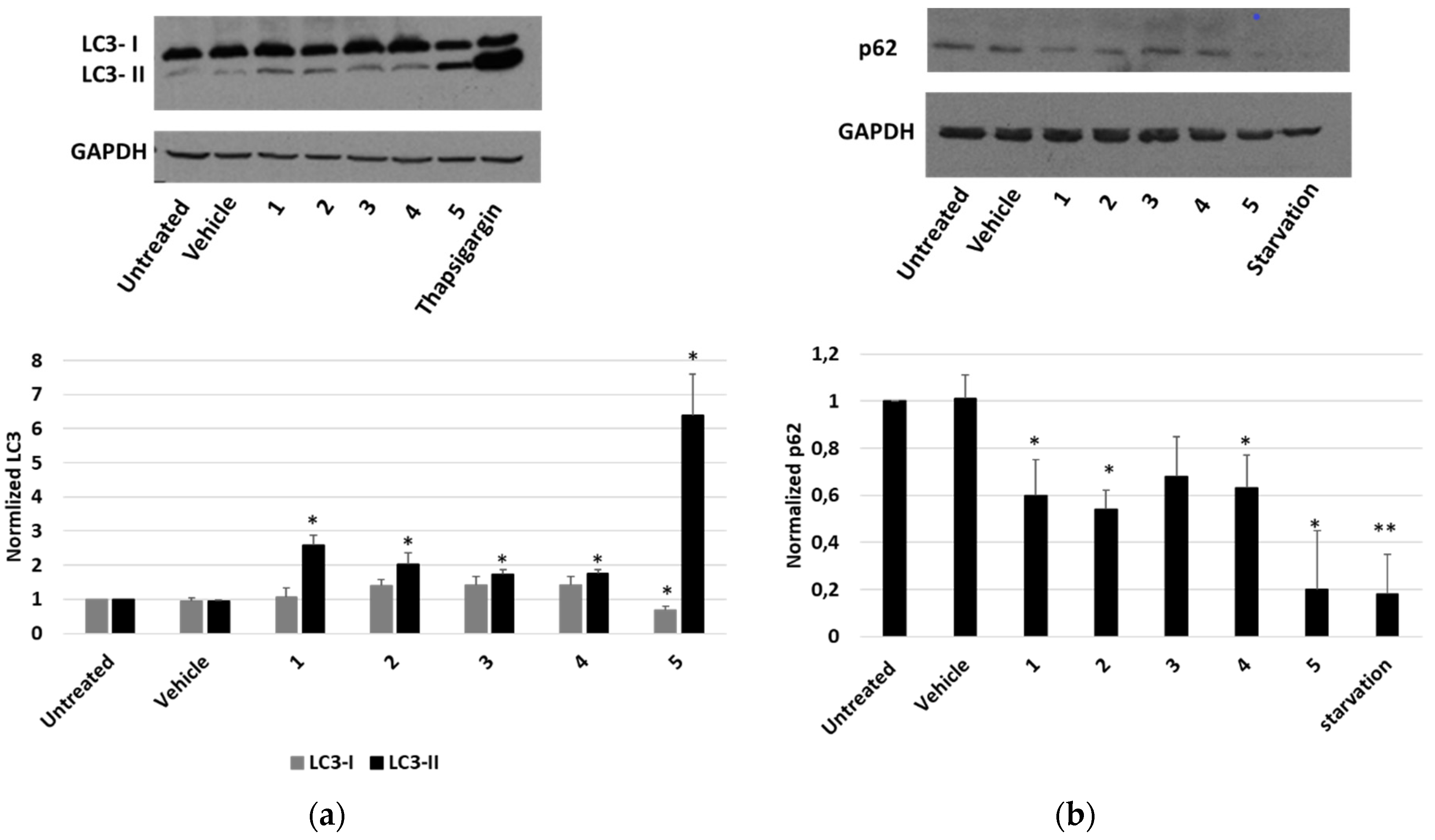 Molecules 27 04874 g009