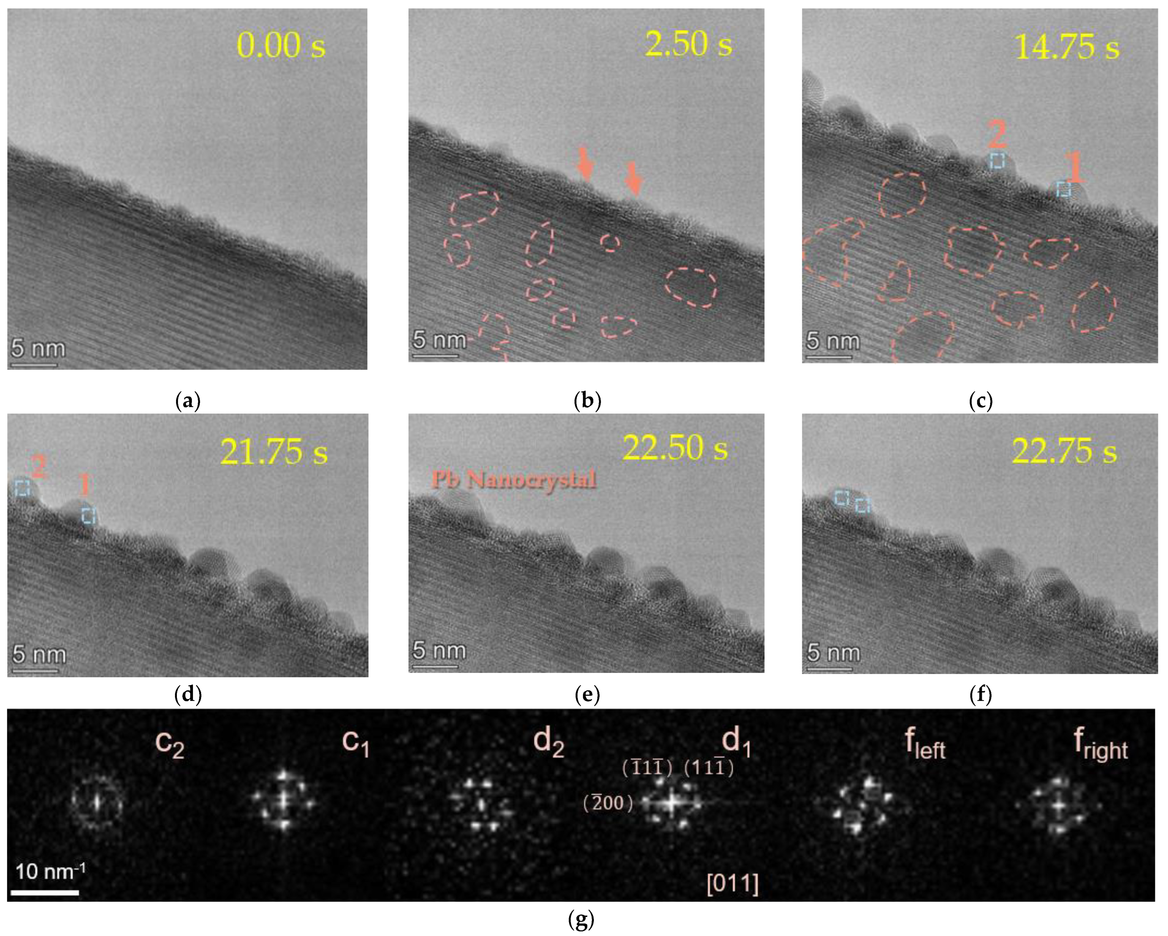 Molecules 27 04877 g001