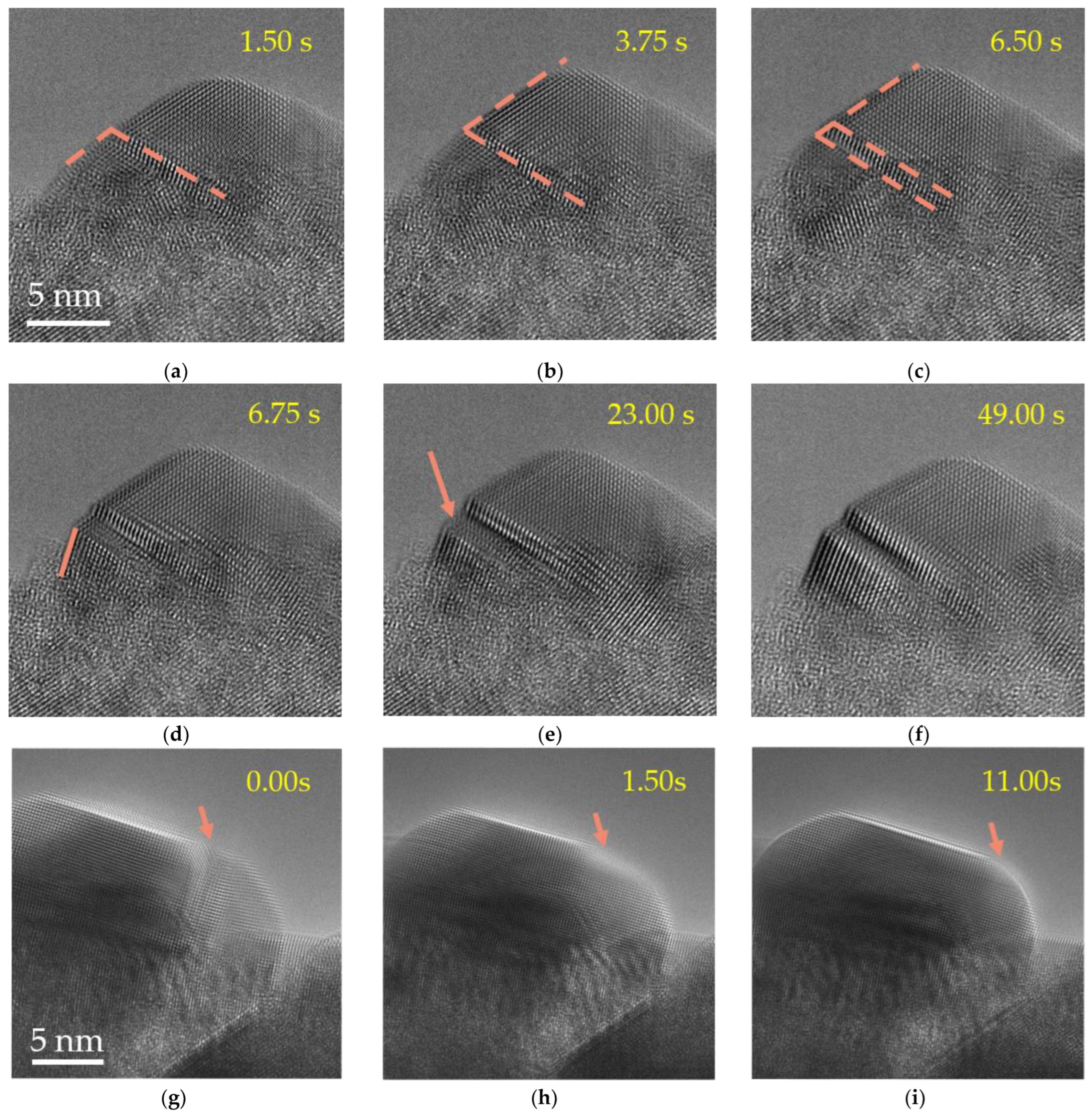 Molecules 27 04877 g003