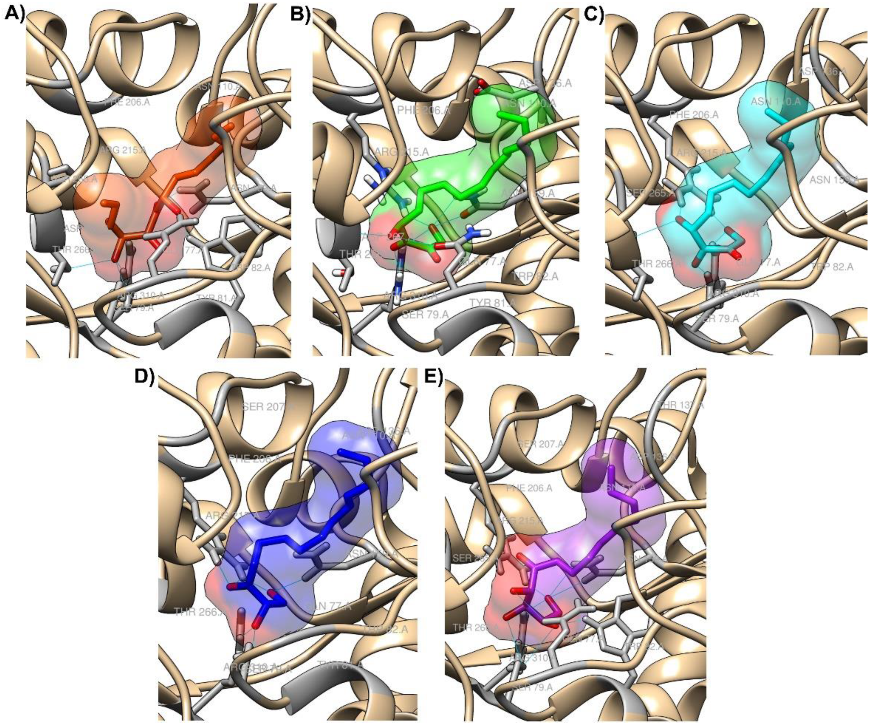 Molecules 27 04887 g003