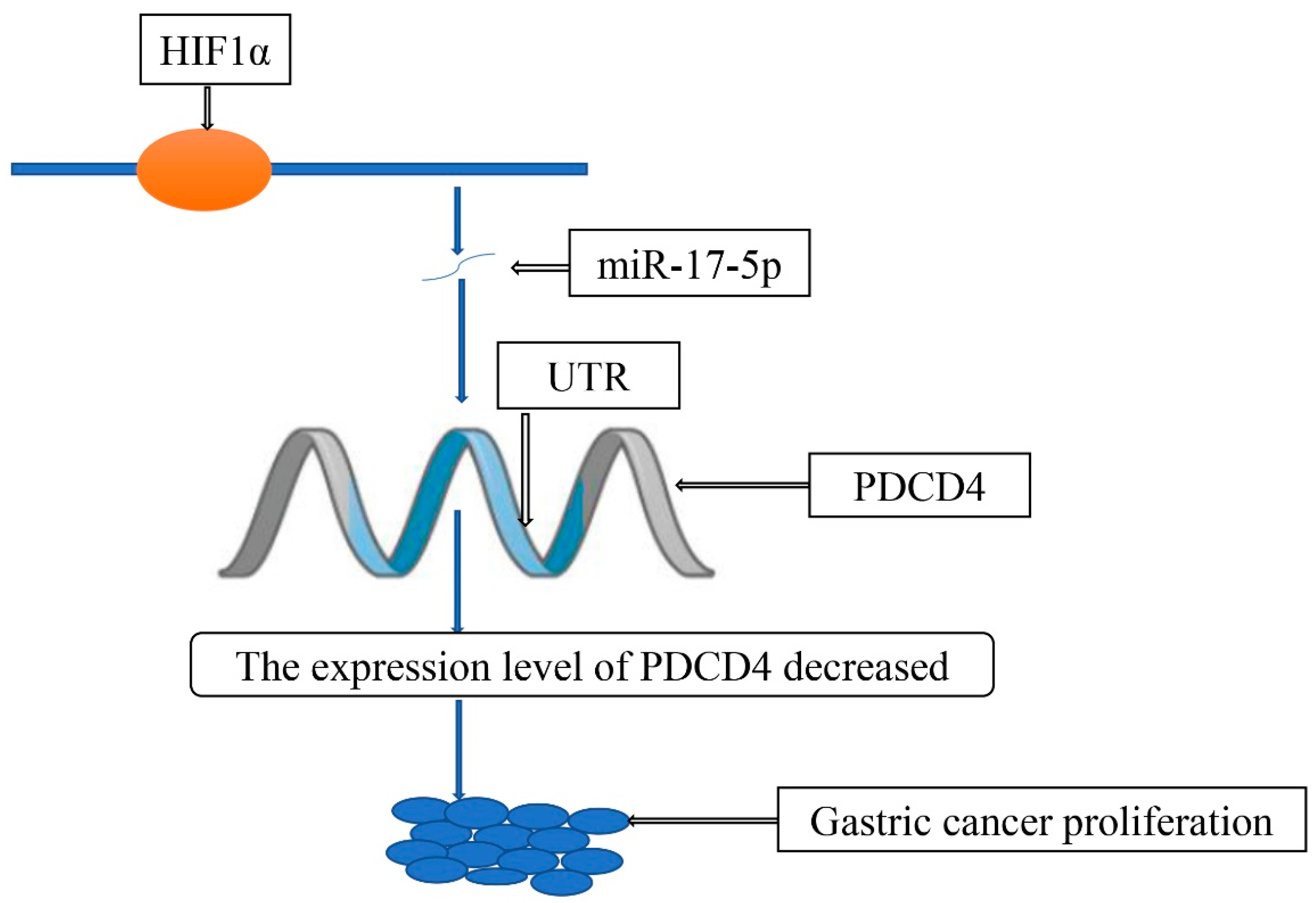 Molecules 27 04893 g004