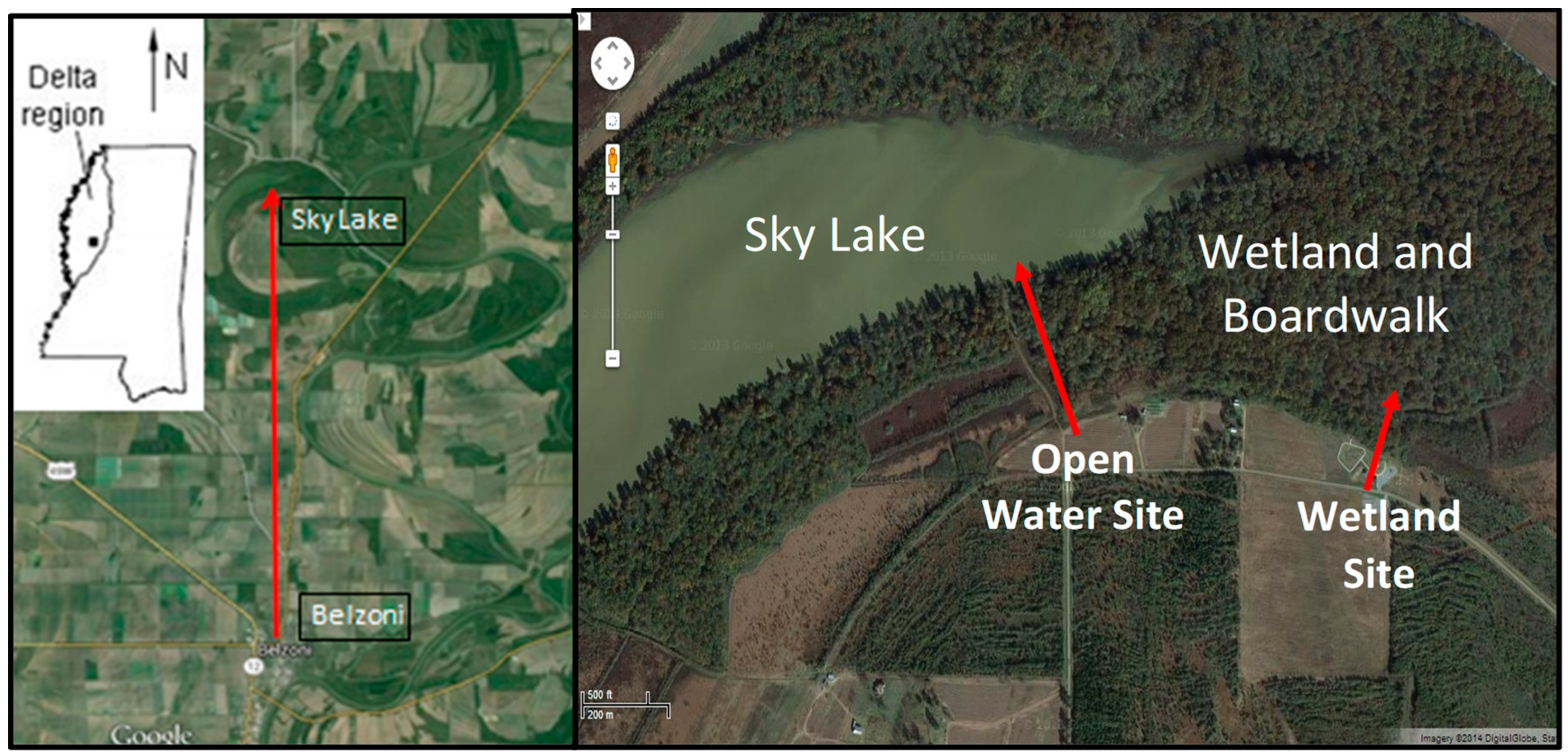 Molecules 27 04911 g001