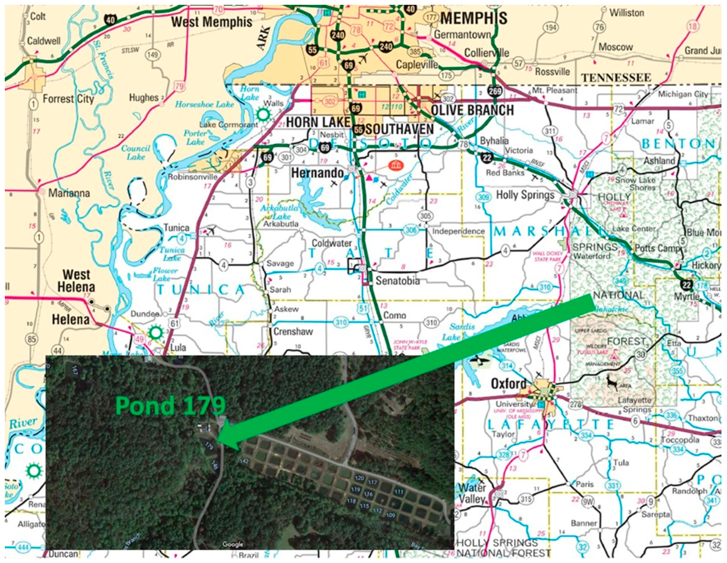 Molecules 27 04911 g003