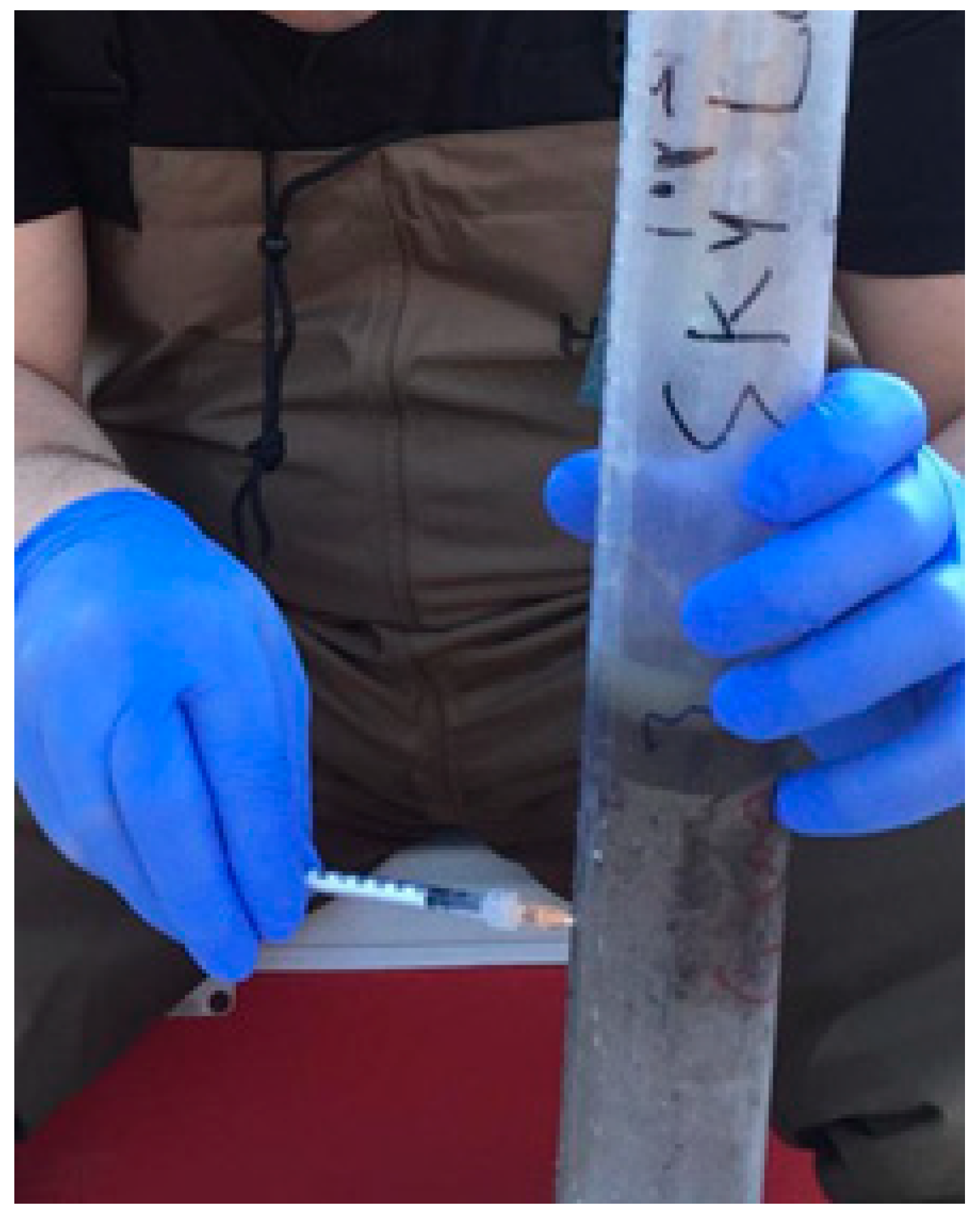 Molecules 27 04911 g004