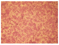 Molecules 27 04912 i001