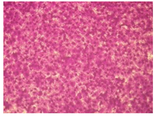 Molecules 27 04912 i002