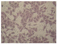 Molecules 27 04912 i003