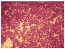 Molecules 27 04912 i004