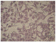 Molecules 27 04912 i005