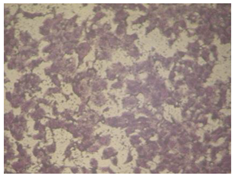 Molecules 27 04912 i011