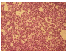 Molecules 27 04912 i012