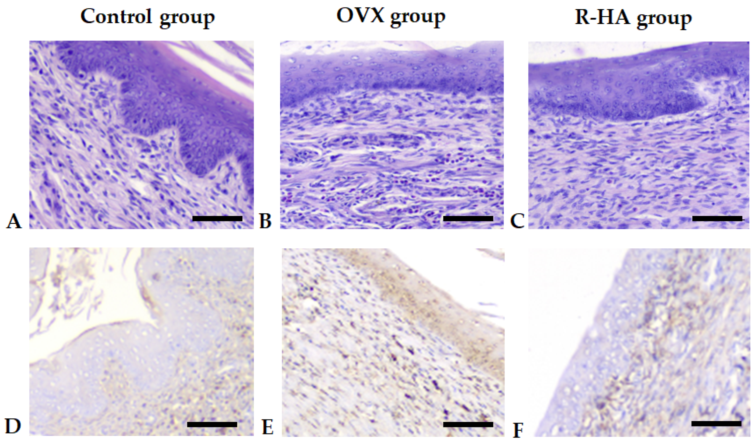 Molecules 27 04916 g003