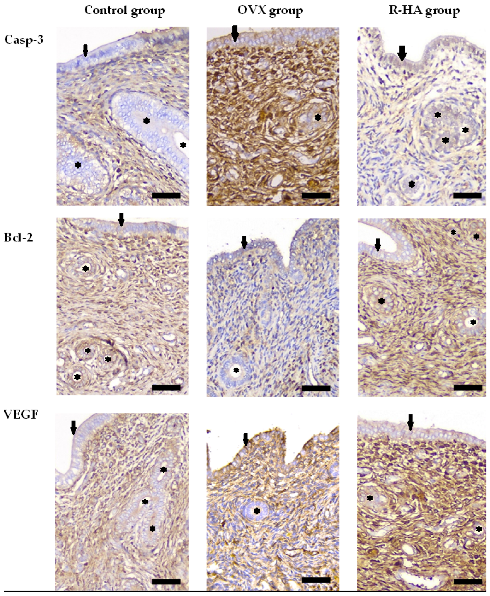 Molecules 27 04916 g005