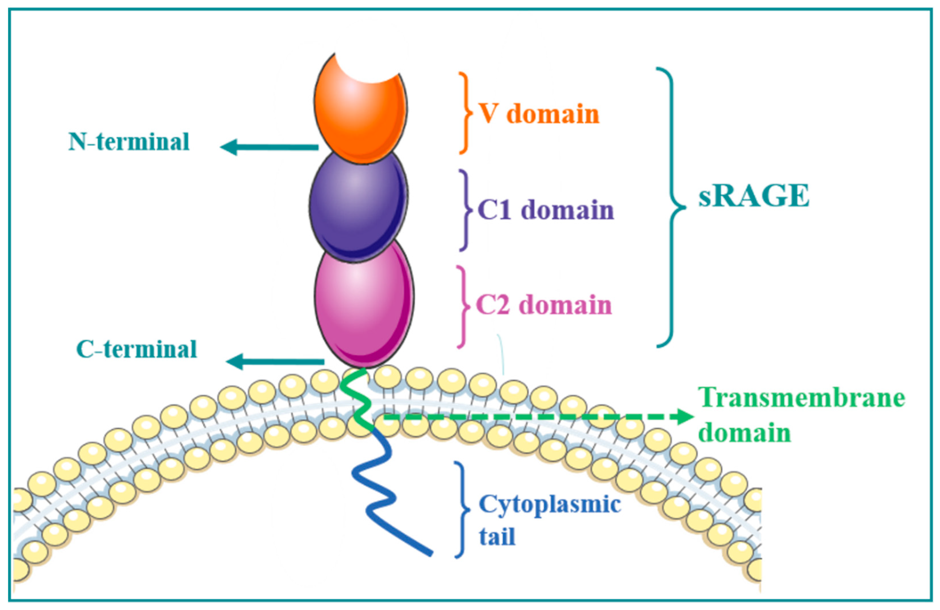 Molecules 27 04922 g001