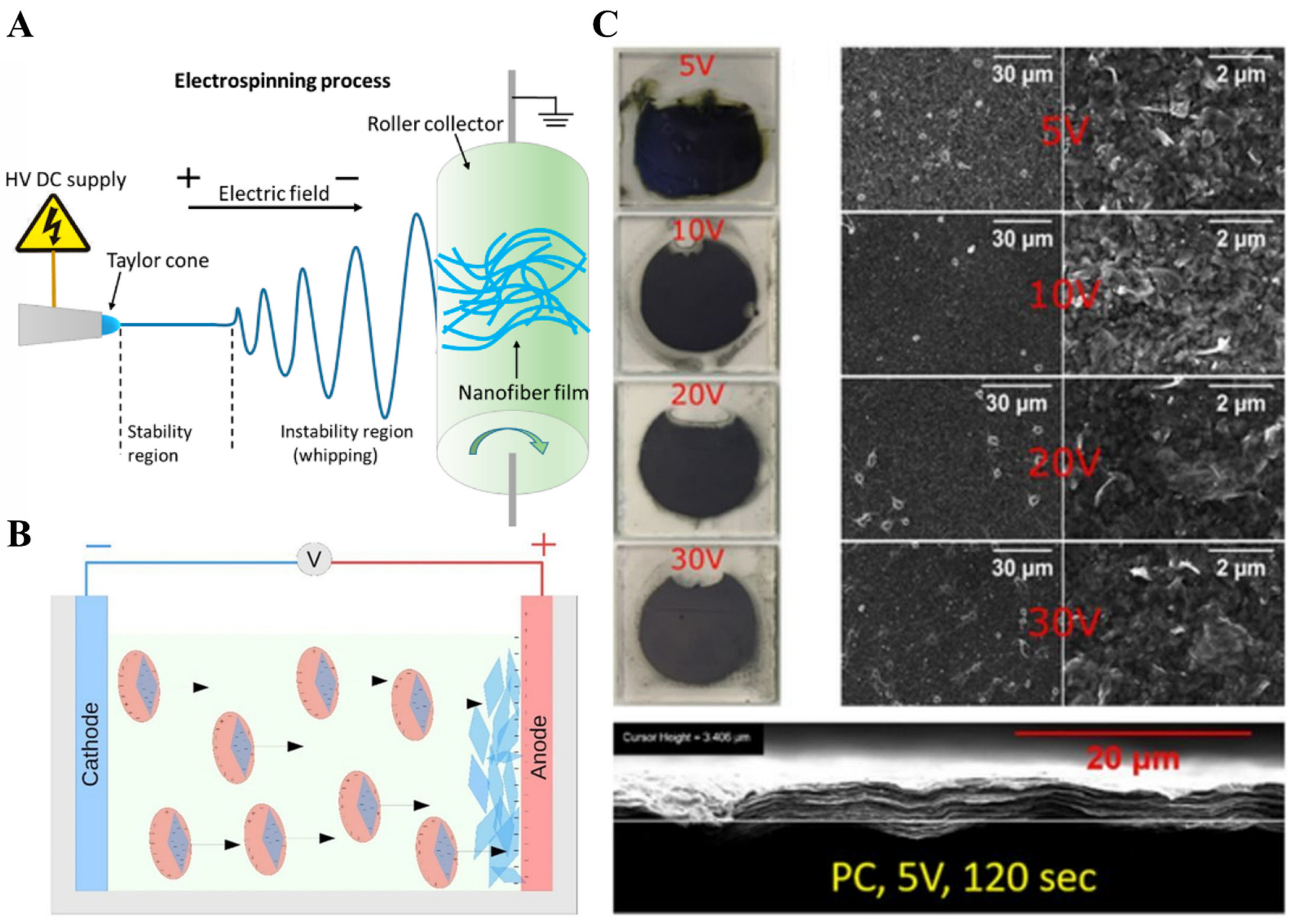 Molecules 27 04925 g004