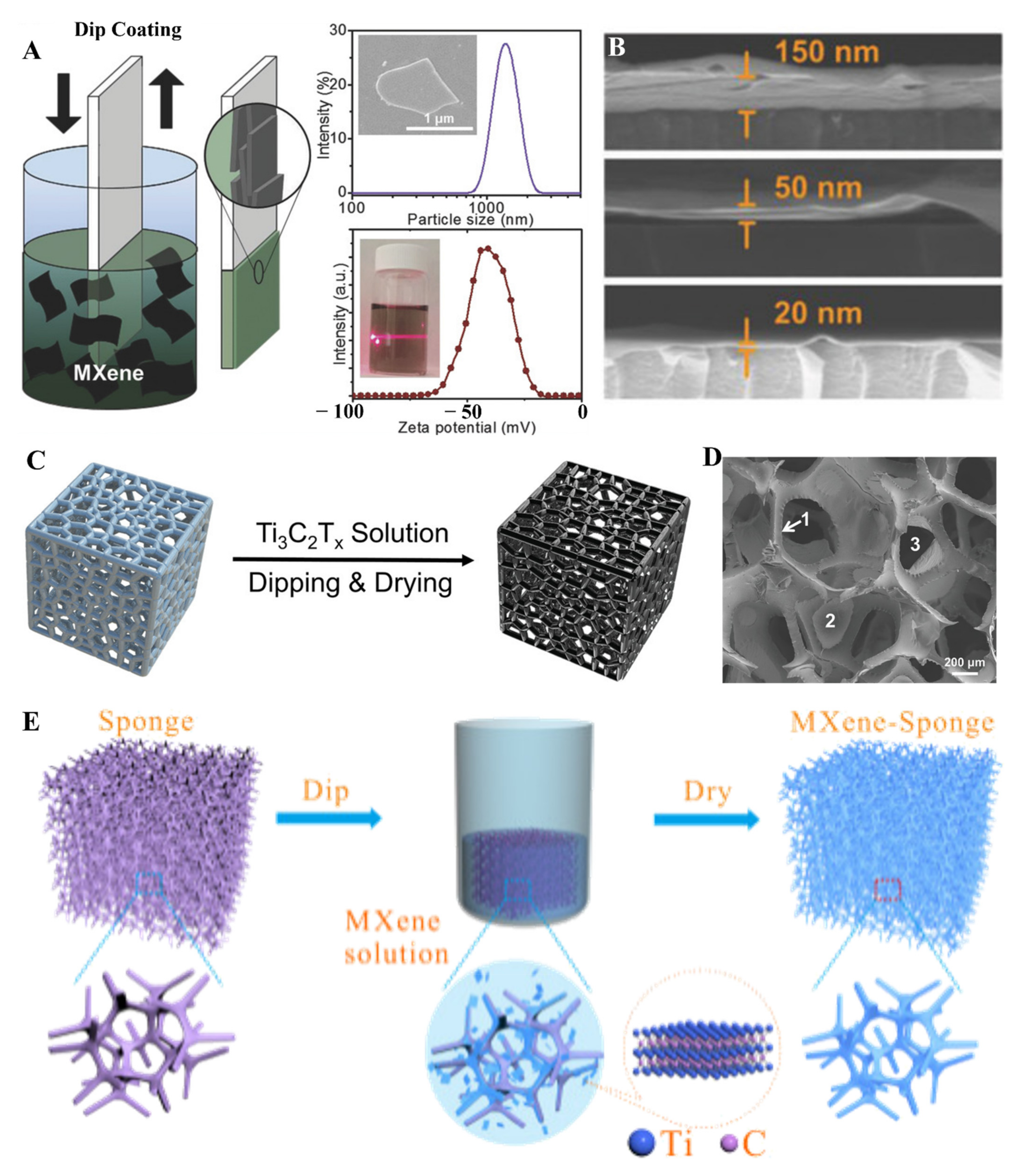 Molecules 27 04925 g007