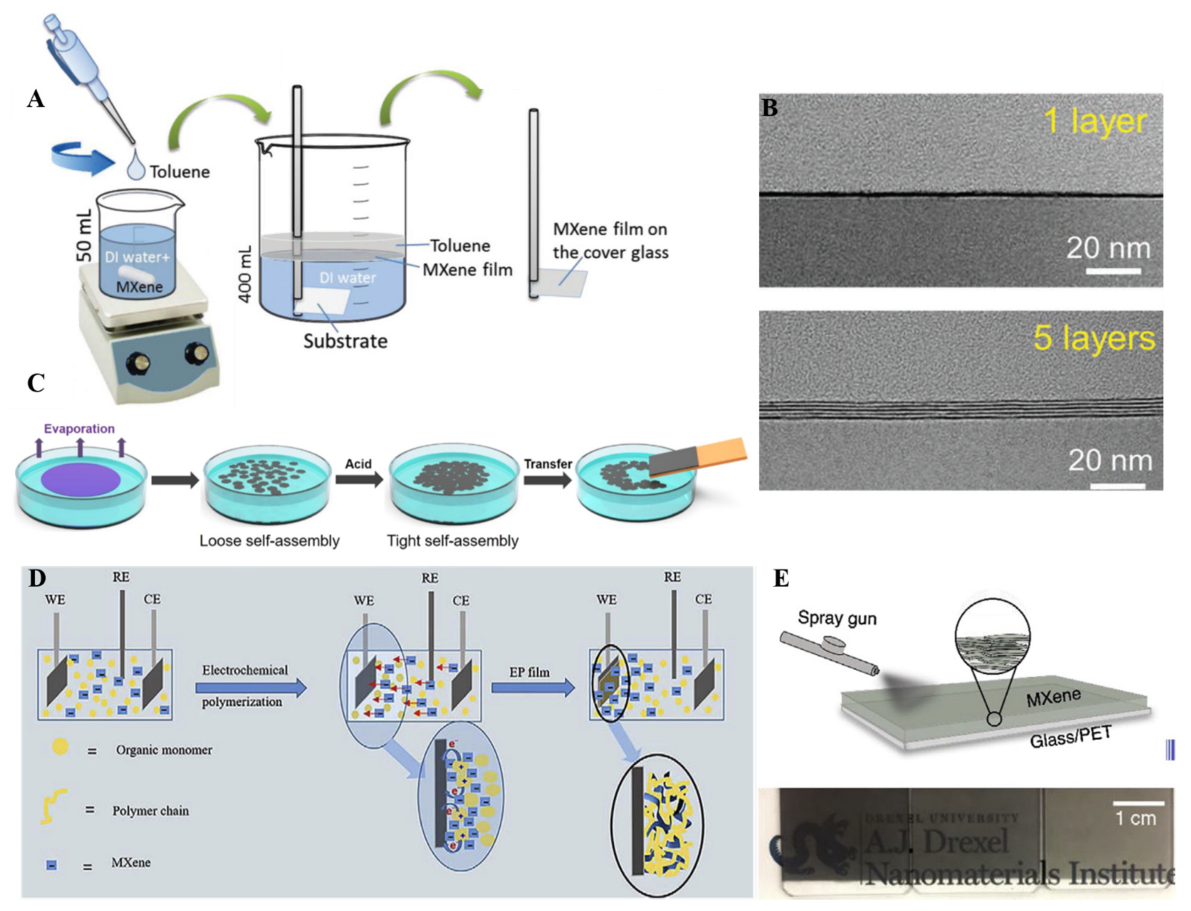 Molecules 27 04925 g008