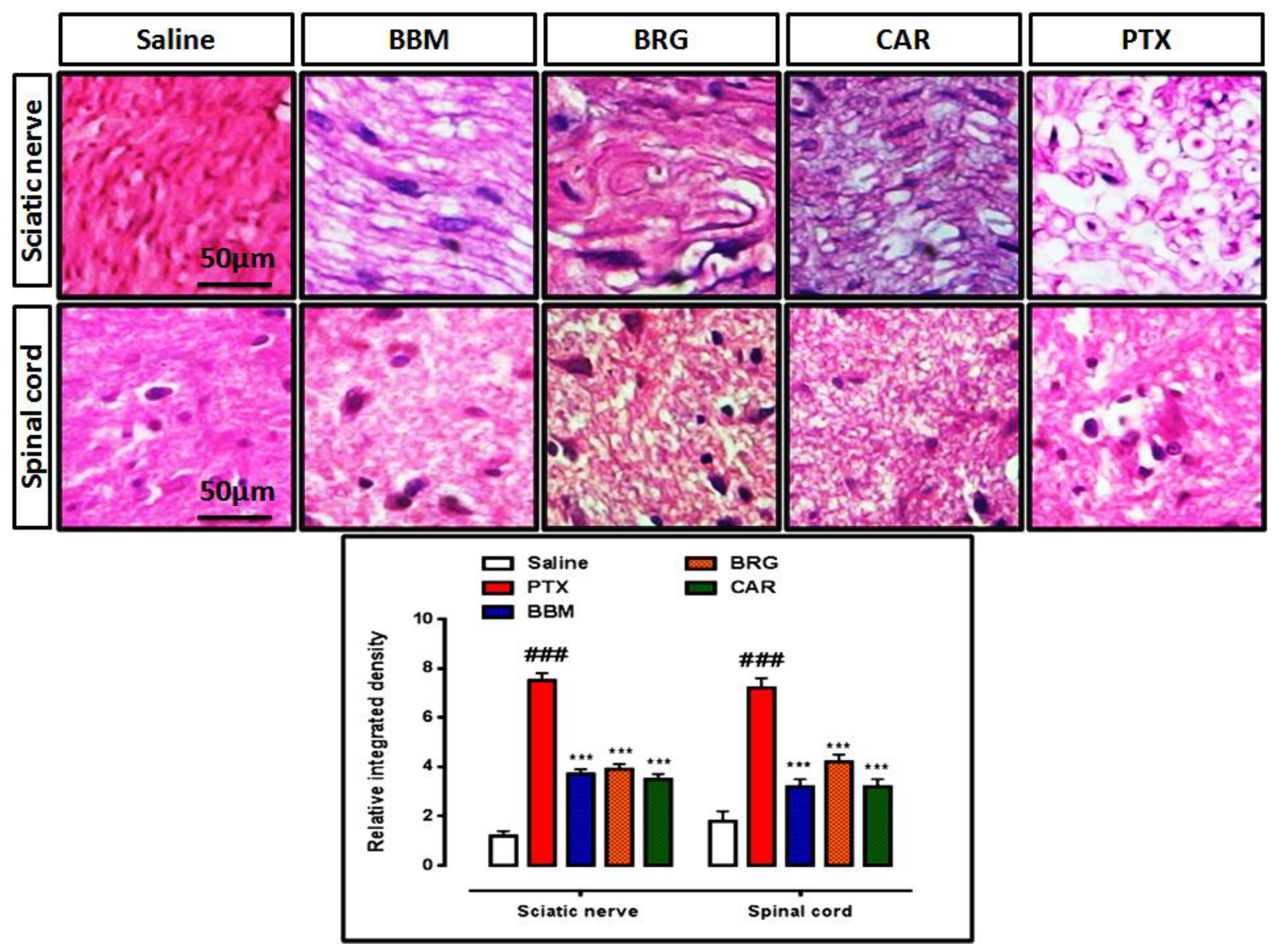 Molecules 27 04926 g005