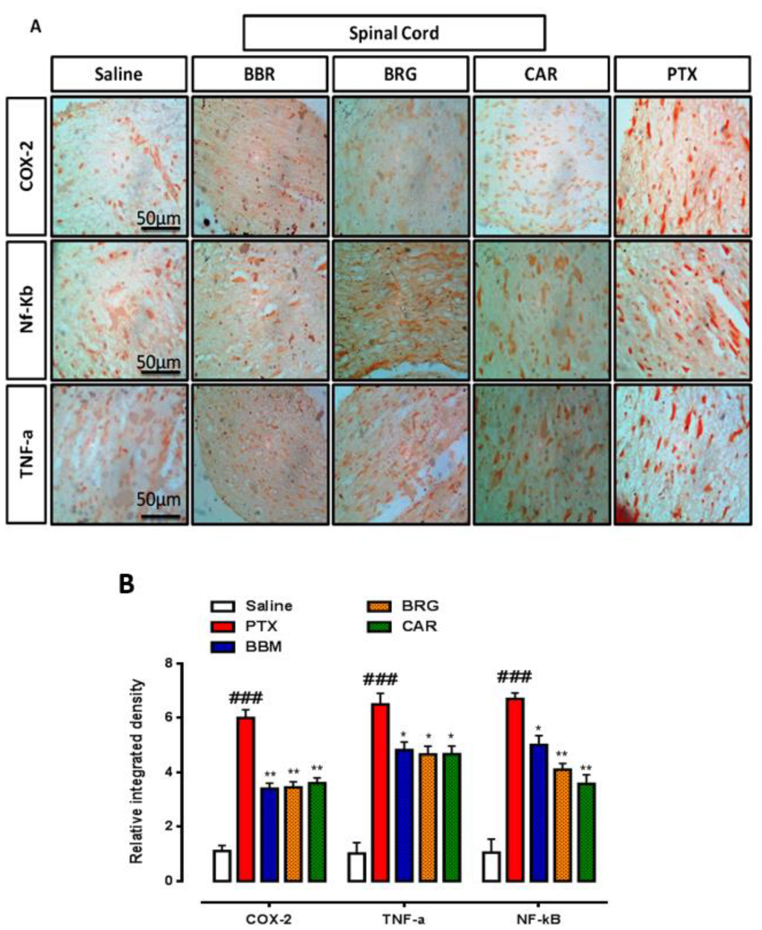 Molecules 27 04926 g007
