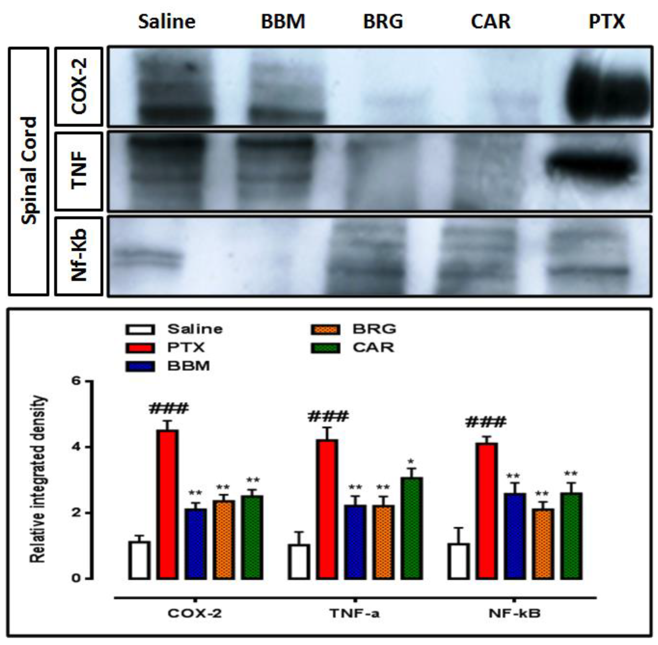 Molecules 27 04926 g009b