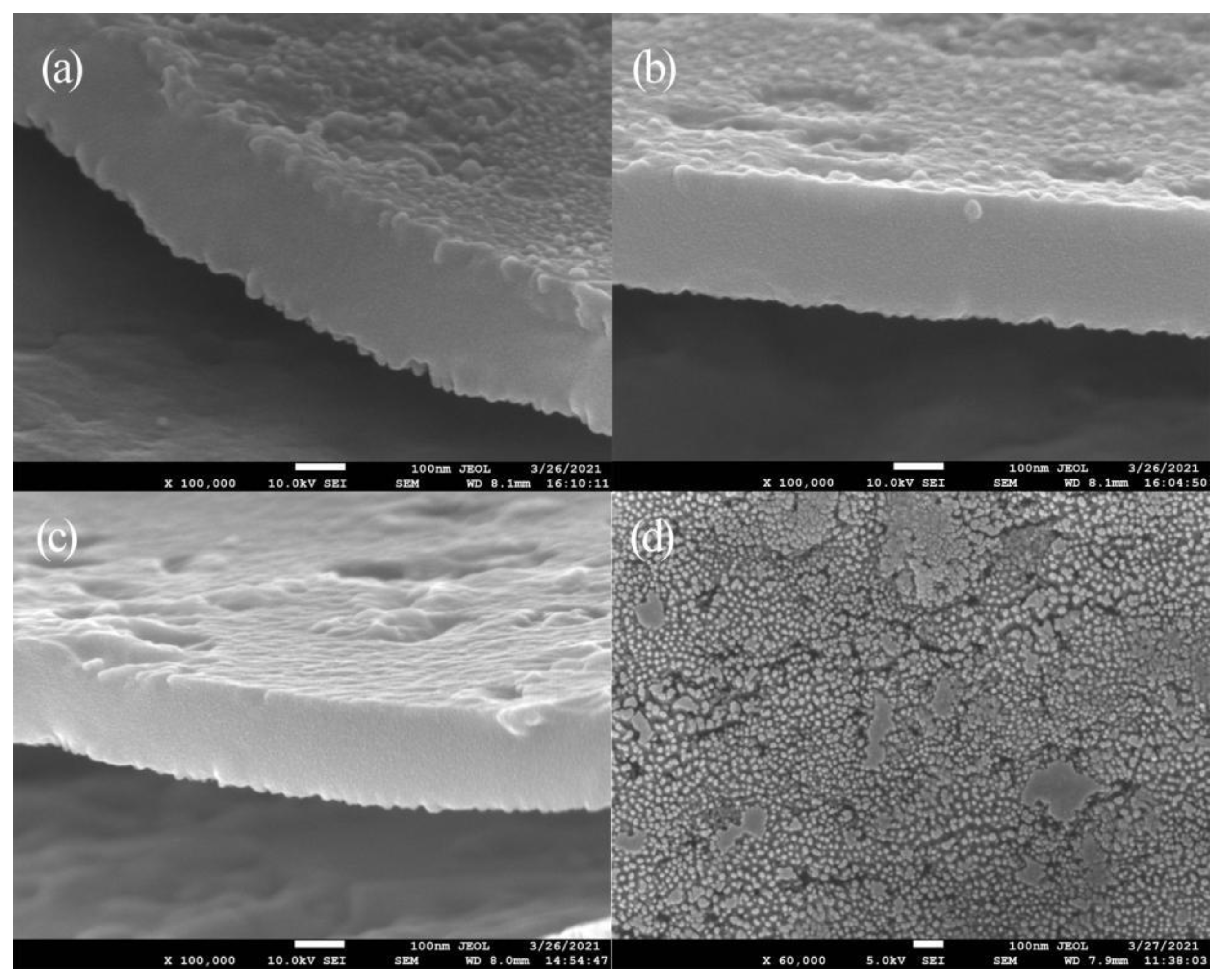 Molecules 27 04932 g005