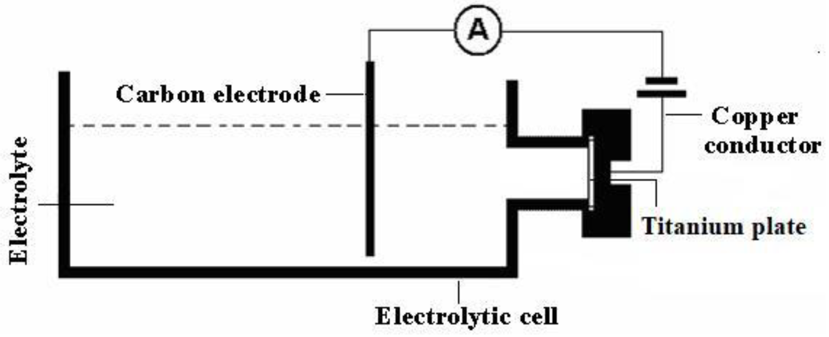 Molecules 27 04932 g010