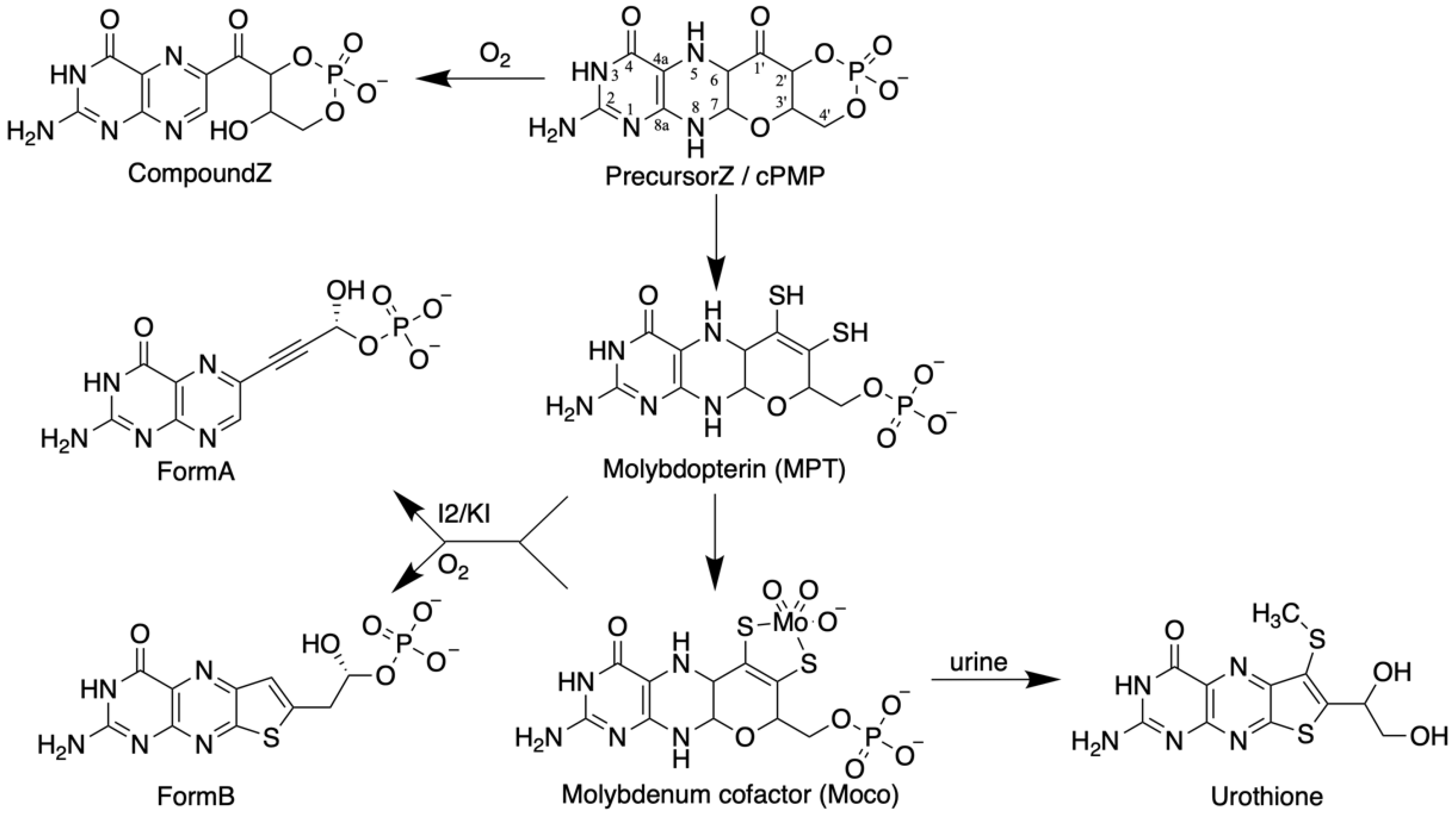 Molecules 27 04934 g001
