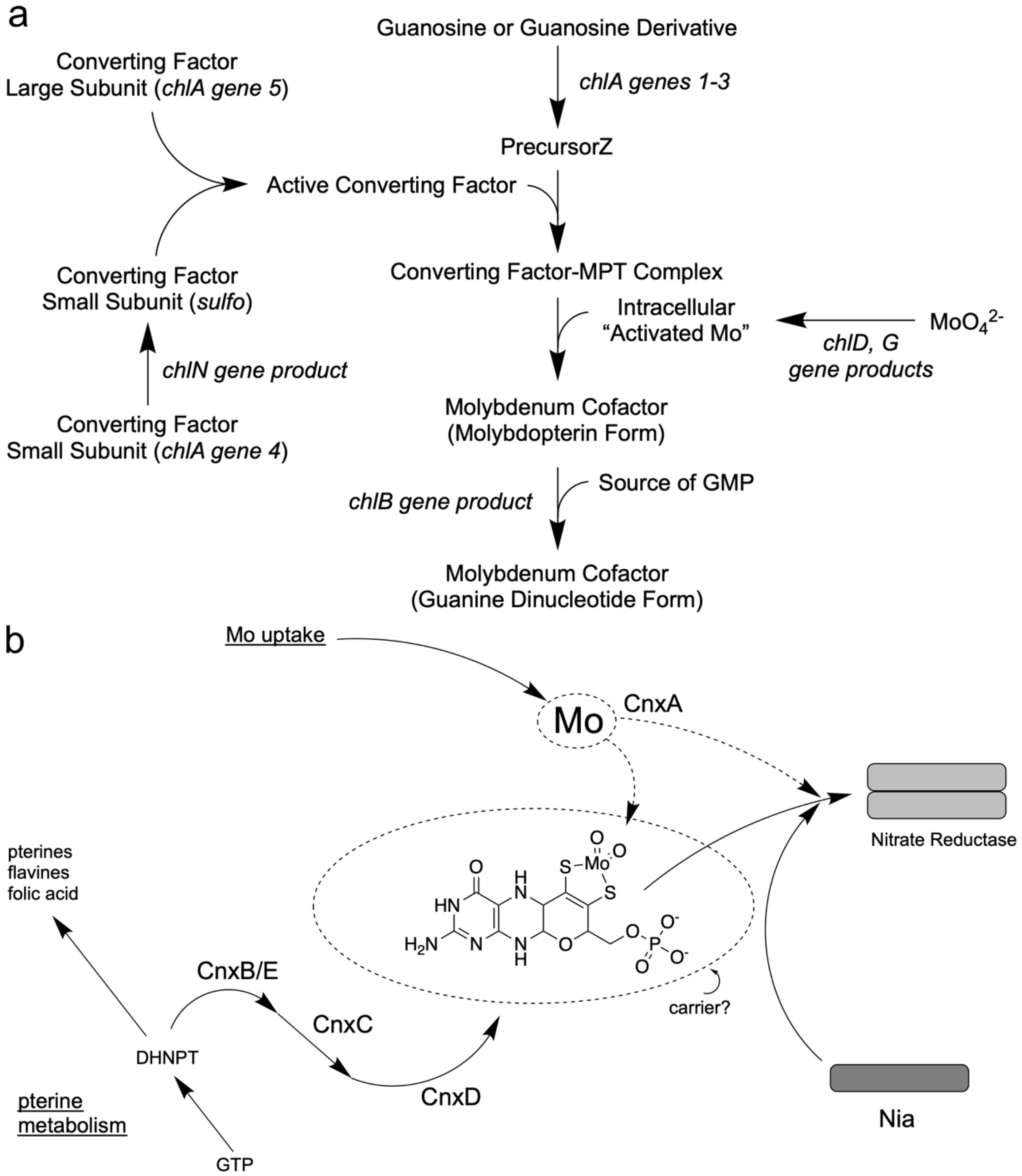 Molecules 27 04934 g002